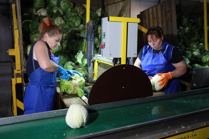 Третий агроагрегатор в Ярославской области начал сотрудничество с торговыми сетями