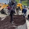 На мусорном полигоне на Сахалине высадили пионы, азалии, ирисы