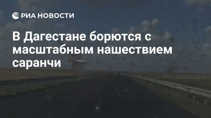 В Дагестане борются с масштабным нашествием саранчи