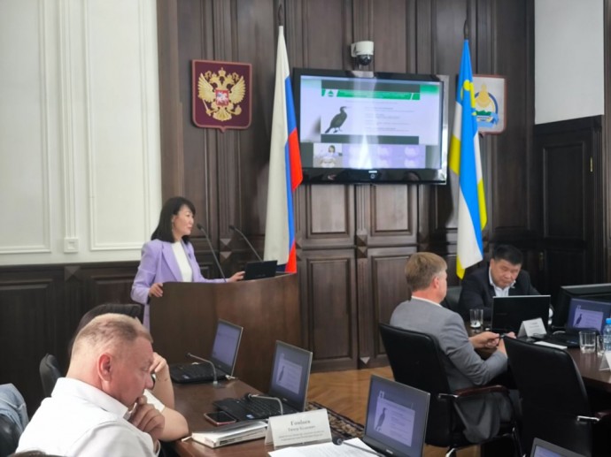 В Бурятии планируют регулировать популяцию баклана