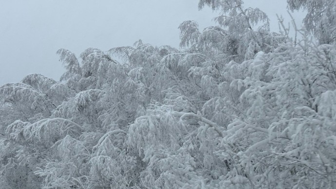 В Башкирии удивили прогнозом на январь и февраль