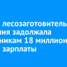 В Зиме лесозаготовительная компания задолжала сотрудникам 18 миллионов рублей зарплаты