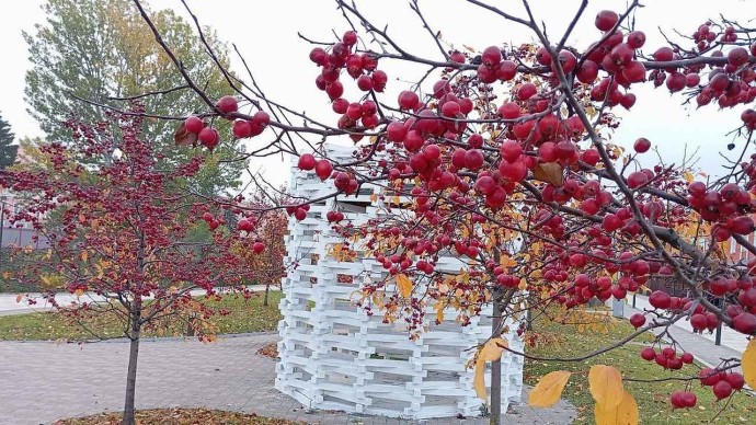 Штормовое предупреждение в Тульской области: усиление ветра до 16 м/с Штормовое предупреждение в Тульской области: усиление ветра до 16 м/с