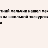 Шестилетний мальчик нашел меч эпохи викингов на школьной экскурсии в Норвегии