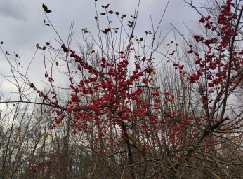 В ноябре жителей Башкирии ожидает аномальная погода