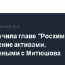РФ поручила главе "Росхима" управление активами, взысканными с Митюшова