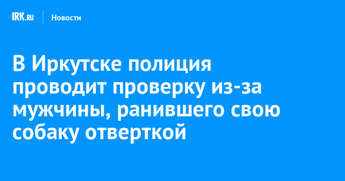 В Иркутске полиция проводит проверку из-за мужчины, ранившего свою собаку отверткой В Иркутске полиция проводит проверку из-за мужчины, ранившего свою собаку отверткой