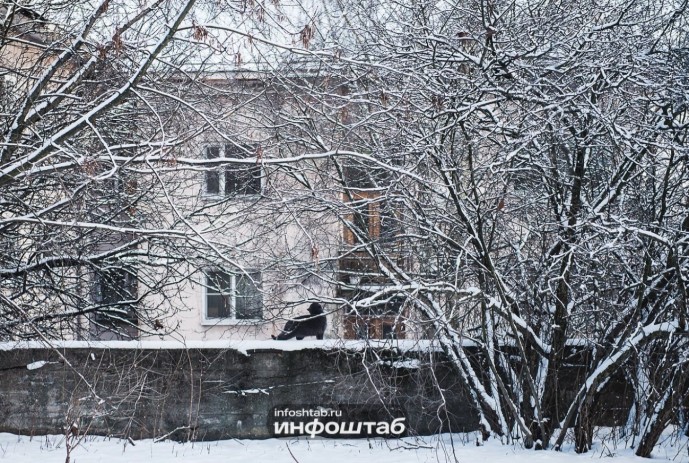 Снег с дождем: что метеорологи обещают астраханцам 11 декабря Снег с дождем: что метеорологи обещают астраханцам 11 декабря