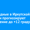 В выходные в Иркутской области прогнозируют потепление до +12 градусов