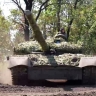 Раскрыто значение освобождения Олешни