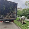 В Магнитогорске начали высадку молодых деревьев