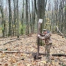 В лесах Курской области выявили браконьеров и усилили подкормку диких животных
