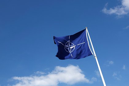 Стало известно о решении стран НАТО по Украине