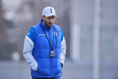 Шварц может снова стать тренером московского «Динамо»