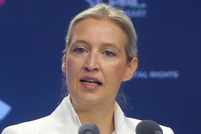 Германия — AfD впереди, но лидерство с оговорками Германия — AfD впереди, но лидерство с оговорками