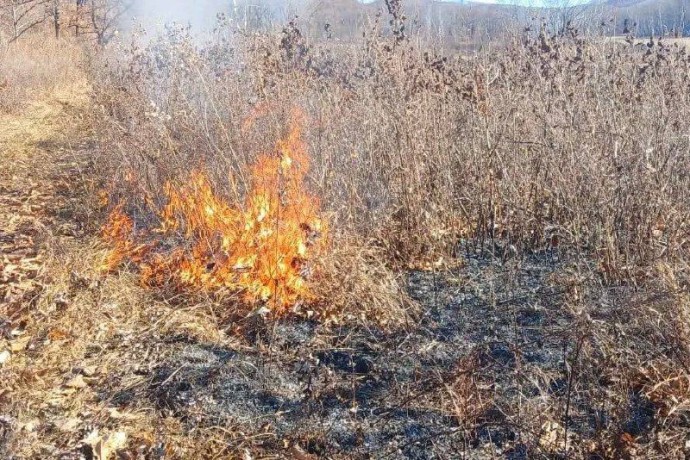 Крупный природный пожар вплотную подошел к заповедной зоне в Приморье