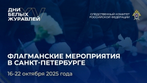 В Санкт-Петербурге пройдут флагманские мероприятия XV Всероссийской акции памяти павших воинов России «Дни белых журавлей»