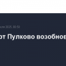 Аэропорт Пулково возобновил работу