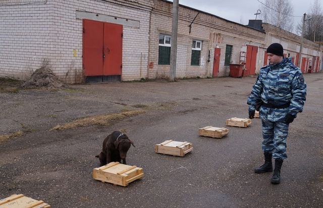 Боровичских школьников познакомили с хвостатым служителем закона по кличке Драка