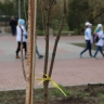 Башкирия вошла в Топ-10 по высадке деревьев в рамках акции «Сад Памяти»