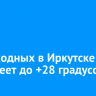 На выходных в Иркутске потеплеет до +28 градусов