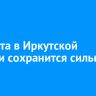 31 марта в Иркутской области сохранится сильный ветер