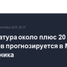 Температура около плюс 20 градусов прогнозируется в Москве со вторника