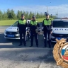На трассах Башкирии проходят сплошные проверки