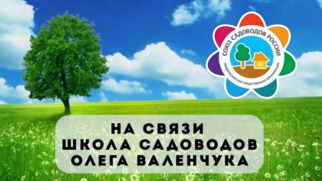 «Горячая линия» от Союза садоводов