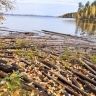 В Иркутской области из водохранилища извлечено 372 кубометра древесины