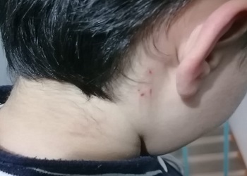 В Благовещенске конфликт на детской площадке обернулся полицейской проверкой