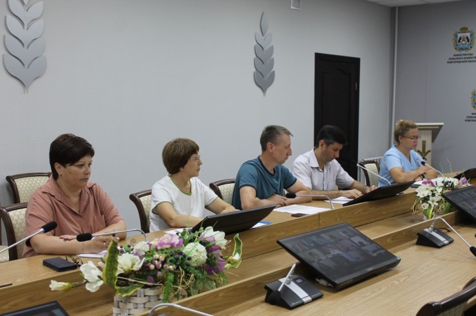 В минсельхозе Новгородской области рассказали о стойких целях даже в условиях ЧС В минсельхозе Новгородской области рассказали о стойких целях даже в условиях ЧС