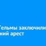 Главу Тельмы заключили под домашний арест