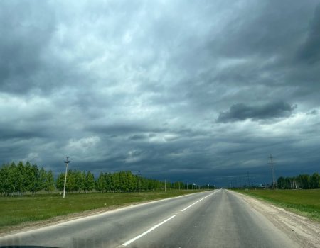 Синоптики рассказали о погоде на этой неделе