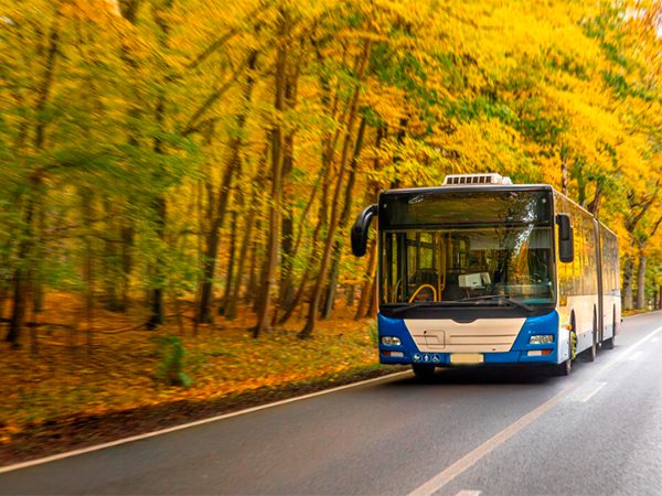 Цифровое взаимодействие участников межрегионального автобусного сообщения – запланирован эксперимент Цифровое взаимодействие участников межрегионального автобусного сообщения – запланирован эксперимент