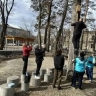 Новостройки для птиц появились в благовещенском сквере водников
