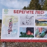 В Бурятии уже произошло 495 лесных пожаров