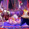 Росгосцирк присоединяется к федеральной акции «Культура поМАХимуму»