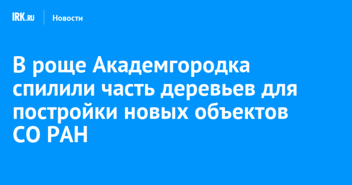В роще Академгородка спилили часть деревьев для постройки новых объектов СО РАН