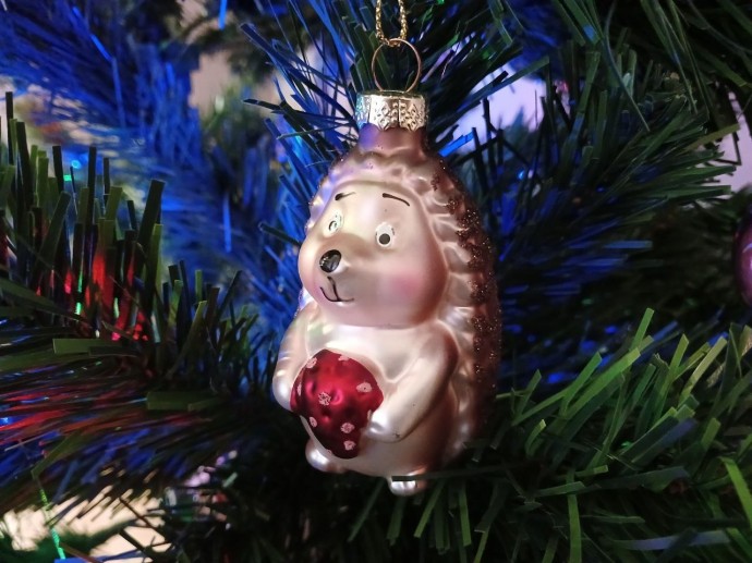 В Уфе определены места и сроки открытия елочных базаров В Уфе определены места и сроки открытия елочных базаров