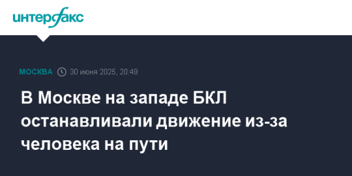 В Москве на западе БКЛ останавливали движение из-за человека на пути