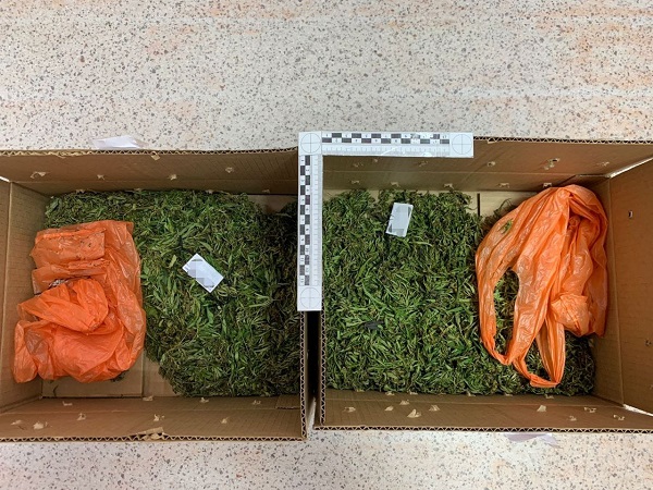 Улан-удэнцы собрали «травку» на берегу Селенги и заработали по «уголовке» Улан-удэнцы собрали «травку» на берегу Селенги и заработали по «уголовке»