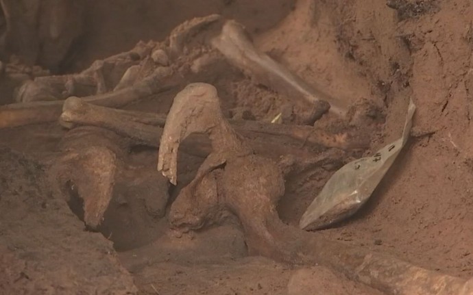 Археологи нашли 80 скелетов при раскопках в эстонском Тарту