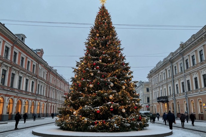 В Саранске зажгли главную ёлку и провели парад Дедов Морозов