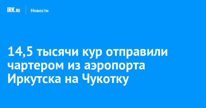 14,5 тысячи кур отправили чартером из аэропорта Иркутска на Чукотку