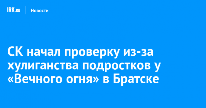 СК начал проверку из-за хулиганства подростков у «Вечного огня» в Братске