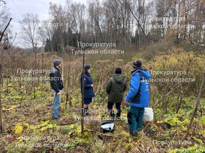 Тульская прокуратура выявила незаконный сброс сточных вод в реку Скнижку