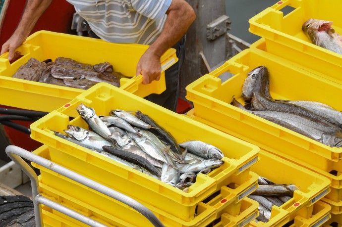 Матвиенко поручила обсудить с кабмином и регионами поддержку рыболовной отрасли