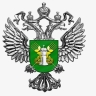В Ичалковском районе Мордовии зарегистрирован случай бешенства у кошки