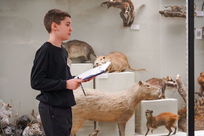 В Москве начался региональный этап Всероссийской олимпиады школьников В Москве начался региональный этап Всероссийской олимпиады школьников